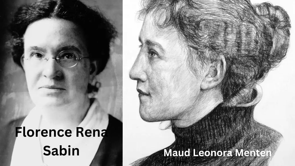 10 Remarkable Women Scientists Who Deserve Greater Recognition